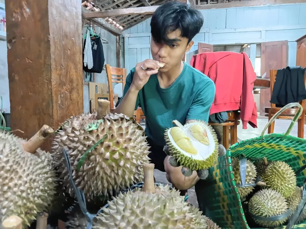 Penikmat buah durian akan mendapatkan rasa gurih-gurih sedap sepanjang hari jika mencicipi durian Kawuk Raja. (Ist)