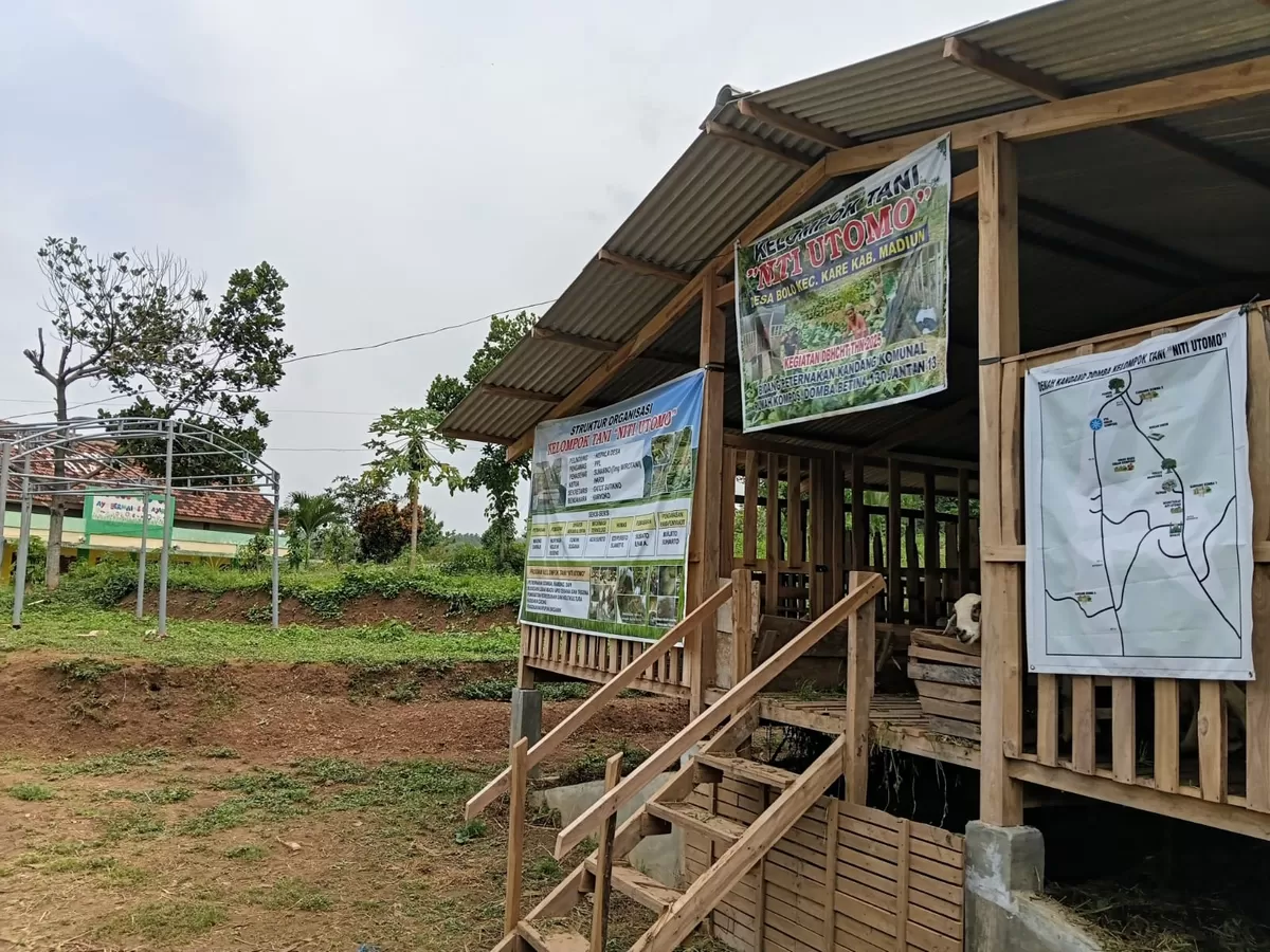 Kelompok Tani (Poktan) "Niti Utomo" Desa Bolo, Kecamatan Kare, Kabupaten Madiun, Jawa Timur, bertekad mengembangkan penggunaan pupuk organik bagi para petani di wilayahnya. (Ist)