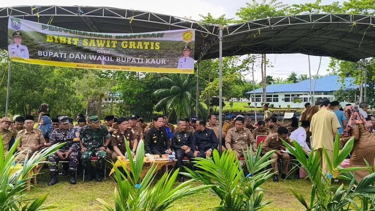 Bupati Kaur Gusri Pausi pada acara penyerahan bantuan bibit kelapa sawit kepada para petani di wilayah ini.(Foto/Ist) 