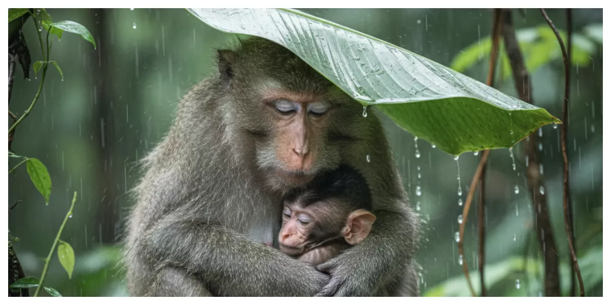 Foto ilustrasi. (by Onaai pic)