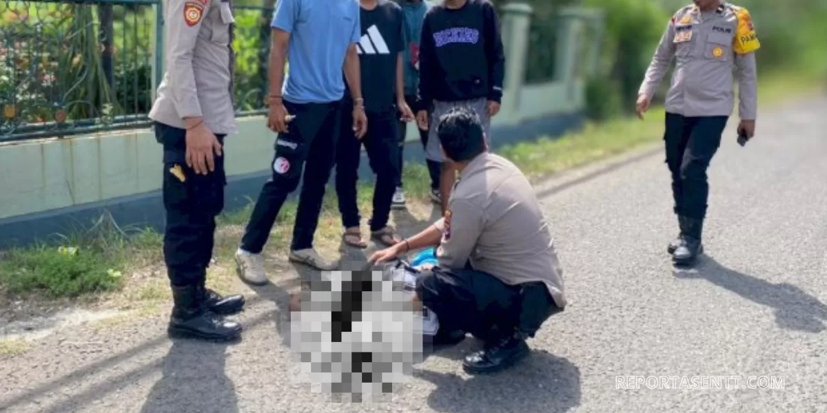  Personel Polres Sikka melakukan evakuasi terhadap seorang warga terjatuh dari mobil pick up dan tergeletak di badan jalan. (Foto TBN Polres Sikka)