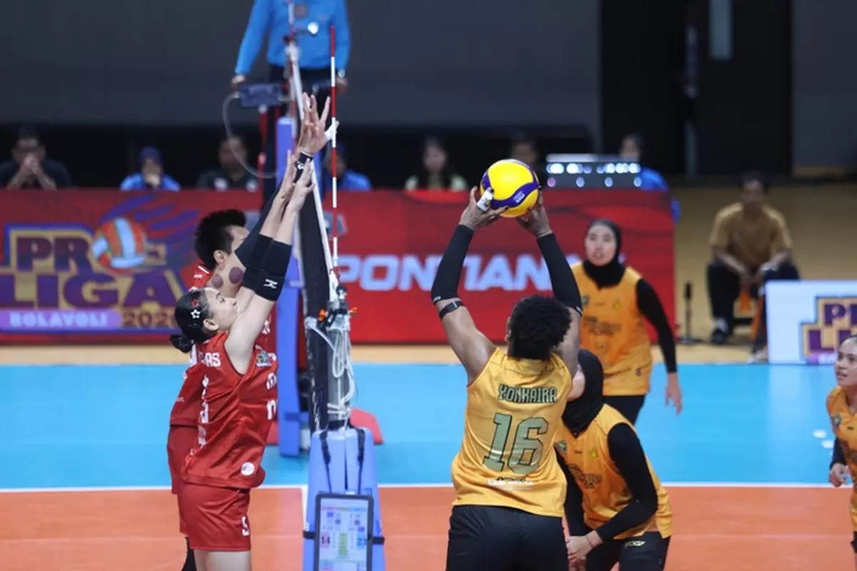 Pemain asing Jakarta Popsivo, Yonkaira Pena saat akan memberikan umpan kepada rekannya di laga pembuka Proliga 2026, di Pontiana, Kamis, 8 Januari 2026. (PBVSI)