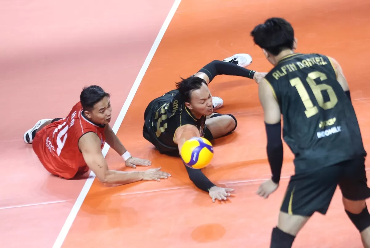 Libero dan satu pemain Bhayangkara Presisi terjatuh saat mengambil bola bawah di lanjutan seri dua putaran dua di Malang. Bhayangkara pastikan tiket final four usai menang telak 3-0 dari Medan Falcon. (PBVSI)
