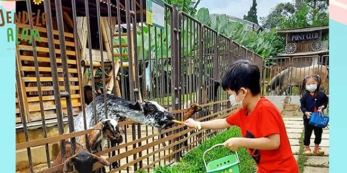 Tempat Wisata Keluarga di Bandung Murah, Banyak Wisata Menarik (Instagram/@jendelaalambandung)