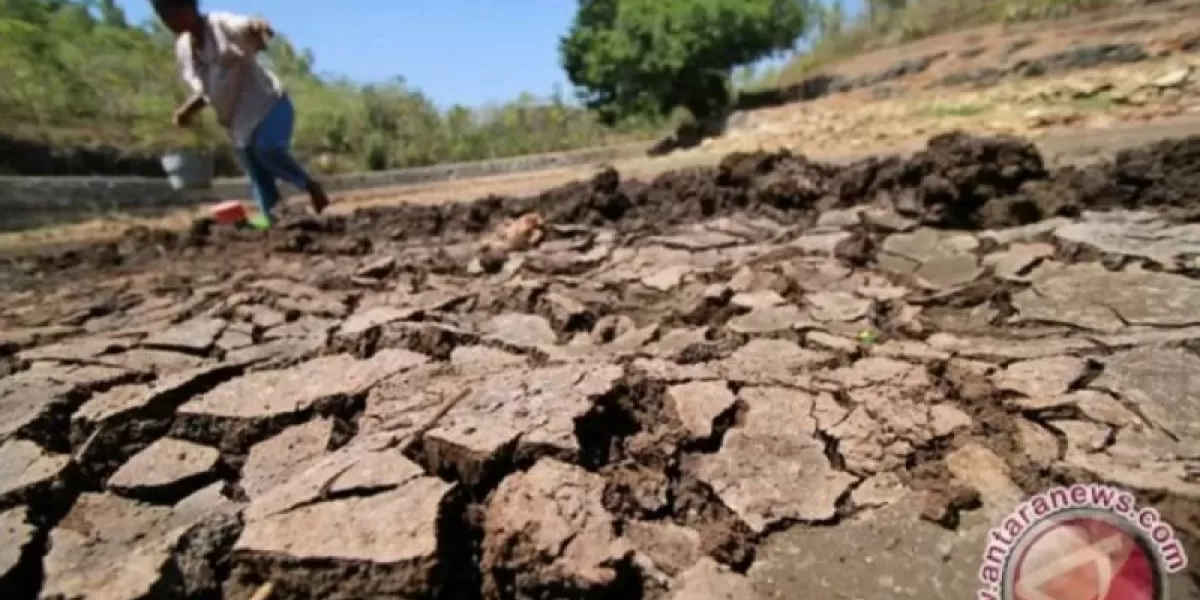 Ilustrasi kekeringan di Indonesia. (ANTARA FOTO)