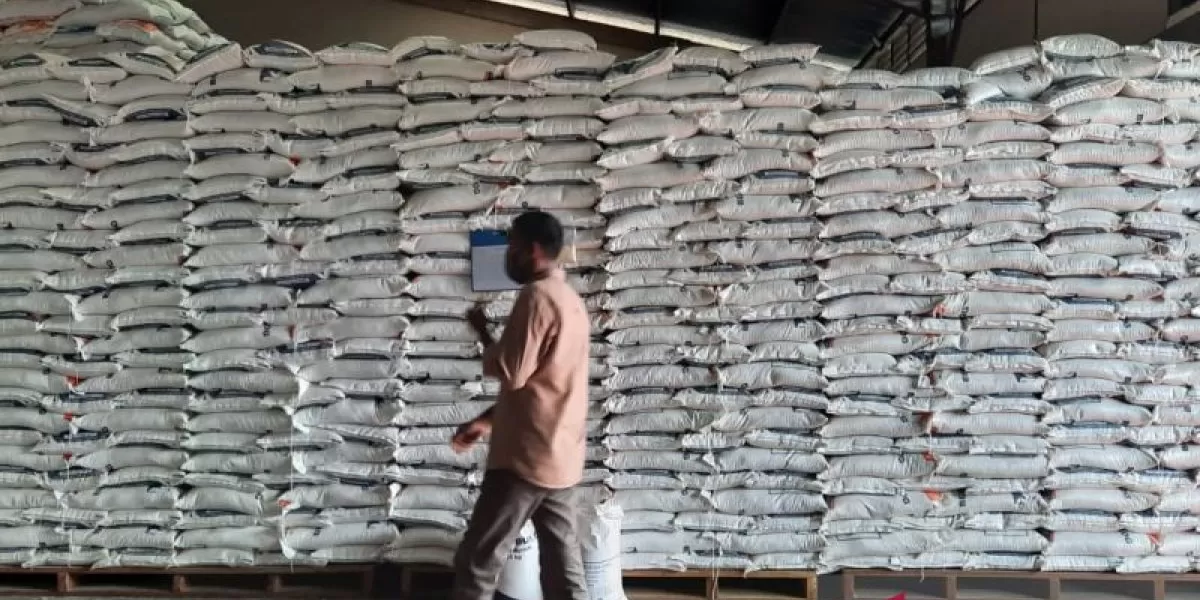 Ilustrasi stok beras untuk ketahanan pangan. (Antara/Muhamad Hanapi)