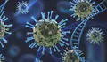 Kebal Vaksin, Ini Dia Varian Baru Virus Covid-19 Bernama MU