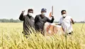 Di Hari Tani 2021, Salim Segaf dan Ridwan Kamil Borong Gabah dari Petani Muda