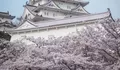 Wajib Dikunjungi! Himeji Castle Destinasi Wisata Sejarah dan Budaya di Jepang