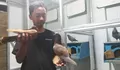  Hobi Bawa Rezeki, Warga Jogja Sukses Ternak Merpati Kolong, Segini Harga Anakan yang Tergolong Fantastis