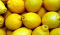Segudang Manfaat Lemon untuk Kesehatan, tapi Tidak Dianjurkan untuk Pemilik Penyakit Satu Ini