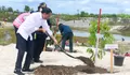 Rehabilitasi Kerusakan Hutan, Jokowi Tanam Pohon di Area Bekas Tambang