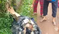Longsor di Padang, Sumatera Barat: Makam Terbongkar, Jenazah Tergeletak di Luar Liang Kubur