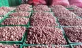 Update Harga Bahan Pokok Kota Tegal 11 Maret 2022, Bawang Merah Rp31.000 per Kg