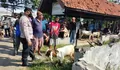 3 Pasar Hewan di Kendal Ditutup 15 Hari Penyakit Mulut dan Kuku Meluas