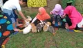 Rumah Strawberry dan Taman Kelinci, Destinasi Wisata di Lampung yang Tidak Hanya Cantik Namun Juga Mengedukasi