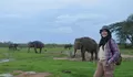 Taman Nasional Way Kambas, Destinasi Wisata di Lampung Tempat Kamu Bisa Berinteraksi Langsung Dengan Gajah!