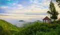 Bukit Khayangan, Destinasi Wisata di Kerinci Bak Negeri di Atas Awan