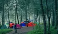 Rekomendasi Destinasi Wisata Camping Terbaik di Bandung Part 2, Ada Tracking Hutan Pinus yang Memukau!