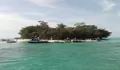 Rekomendasi Destinasi Wisata Paling Hits di Kepulauan Seribu Part 2, Nomor 4 Ada Pulau Dolphin!
