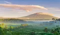 Bukit Cinta Bali, Destinasi Wisata untuk Menikmati Indahnya Panorama Gunung Agung 