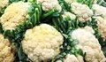 Ternyata Kembang Kol Juga Bisa Mengatasi Gangguan Kesehatan dan Kecantikan