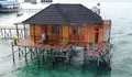 Derawan Fisheries Cottages, Villa di Atas Air, Rekomendasi Hotel di Pulau Derawan Dengan Harga Terjangkau!