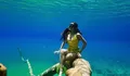 Ini 3 Spot Diving dan Snorkling Terbaik di Destinasi Wisata Berau, Kalimantan Timur!