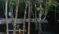 Pesona Danum Bahandang, Destinasi Wisata Alam Tersembunyi di Palangkaraya Kalimantan Tengah!
