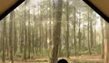 Destinasi Wisata Alam Kabin Private Ditengah Hutan Dengan Metode Prefabrikasi : Bobocabin Cikole Pilihannya!