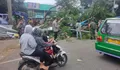Pohon Tumbang di depan Pasar Cibinong, Pihak Kepolisian Lakukan Evakuasi