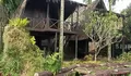 Wajib Dicoba! Villa Aries Biru Puncak Bogor : Villa Murah Dibawah 500 Ribu dengan View Sawah dan Udara Segar