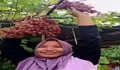 Gratis dan Dijamin Puas !!! Yuk Bestie Intip Keseruan Destinasi Wisata Kampung Anggur Plumbungan di Yogyakarta