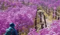Rekomendasi 6 Destinasi Wisata di Daegu Korea Selatan, Suasana Romantis Bareng Pasangan Maupun Solo Traveling