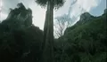 Sinopsis Film Horor Thailand Takien:The Haunted Tree Tayang 1 November 2022 di ANTV Tentang Pohon Angker