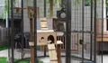 Cat lovers, inilah 5 tips memilih desain kandang kucing terbaik