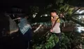 Hujan Deras Akibatkan Pohon Tumbang di Ciomas, Pihak Kepolisian Lakukan Rekayasa Arus Lalin