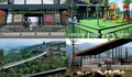 Sedang Viral! The Nice Funtastic Park, Destinasi Wisata Baru di Puncak Bogor : Nuansa Liburan yang Fantastis