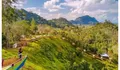 Destinasi Wisata Kampoeng Bamboe Tandilang di Kalimantan Selatan, Bisa Jadi Spot Foto yang Instagramable Lho!