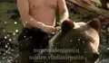 Di tengah invasi Rusia Ukraina yang belum usai, Vladimir Putin bagikan hobi uniknya tunggangi beruang
