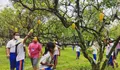 Taman Wisata Mekarsari: Nikmati Keindahan Buah-buahan dan Aktivitas Seru di Bogor