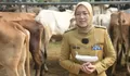 Stok Melimpah, Bupati Anne Ratna Mustika Pastikan Ketersediaan Hewan Kurban di Purwakarta Sangat Aman