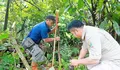 Peringati Hari Lingkungan Hidup, KPH Rongkong Lakukan Penanaman Pohon di Lereng Gunung