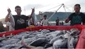 Nelayan Semakin Minati Resi Gudang Komoditas Ikan, Peningkatan Registrasi Signifikan