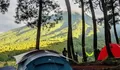 3 Tempat Camping di Bogor yang Lagi Hits 2023 Dekat Sungai, Stok Air Aman