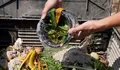 Simak! Inilah Tips Mengolah Sampah Organik yang Tepat