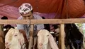 IDEAS Ungkap Pentingnya Distribusi Kurban ke Daerah Pelosok