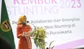 Bupati Purwakarta Anne Ratna Mustika Siapkan Langkah Percepatan Penurunan Stunting