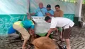 Keluarga Besar DR Rahmat Shah Sembelih Hewan Qurban di Taman Hewan Siantar