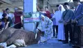 Sambangi 3 Masjid Besar dalam Rangka Idul Adha di Semarang, Wali Kota Sumbang Sapi